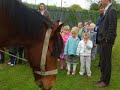 Horse Drawn Ploughing