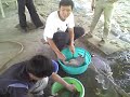 An nhau tai nha....