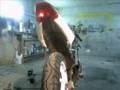 Proceso HONDA VFR 400