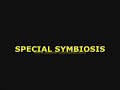 a tribute to carmen  special symbiosis 