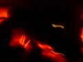 le feu a l'etrier maxou tu me la regaleee