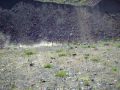 videos de Erik shooting his Paratrooper FAL