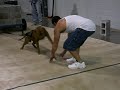 My Red Nose Pit 