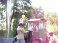 brama weselna budy
