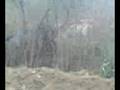 videos de las chivas ii obejas de san pedro :|