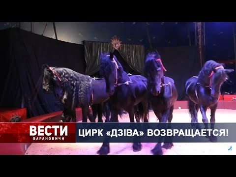 Вести Барановичи 22 августа 2022.