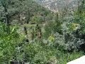 Panorama Panorama