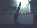 gymnastics: from level 7 to elite