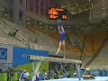 gymnastics: from level 7 to elite