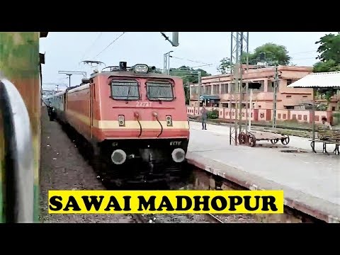 Ed Wap4 7 Ac Jaipur Bct Sawai480 Ed Wap4 7 Ac Jaipur Bct Sawai480