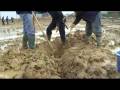 videos de Dodelijk schroot
