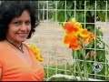 Unduh Video ya se quien fue jenny rosero djrally73 musica ecuatoriana mi rockolita y tu Unduh Video ya se quien fue jenny rosero djrally73 musica ecuatoriana mi rockolita y tu
