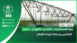 خنشلة - فلاحة | ربط المستثمرات الفلاحية بالكهرباء.. تحفيز للفلاحين ودعامة لزيادة الإنتاج