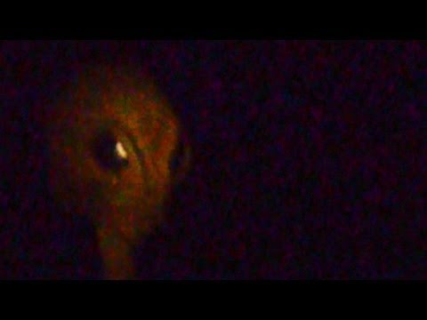 UFO Sightings Aliens Abduct Two Girls For Hybrid Breeding! Shocking Claims Watch Now!