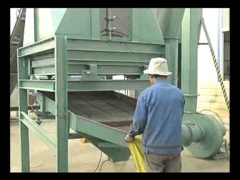 how to fertilize with chicken manure