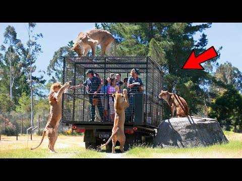 यहाँ जाने से पहले 100 बार सोच लेना | Most Dangerous Tourist Destinations In The World