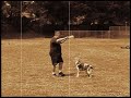 Old Time Frisbee