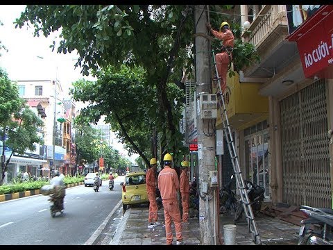 Ngành Điện trú trọng giảm tổn thất điện năng năm 2018