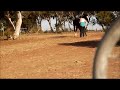 Click here to watch this video Robbo Jumping On My Foot!