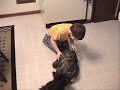 6 year old attacked by dog and brother