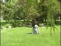 Mastering Karate with Hirokazu Kanazawa #1 Te Waza