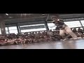 Skill Methodz Vs Rhythm Bugs @ freestylesession Skill Methodz Vs Rhythm Bugs @ freestylesession