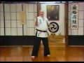 Goju-Ryu Karate - Frank Van Lenten - 1994