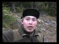Elgjakt