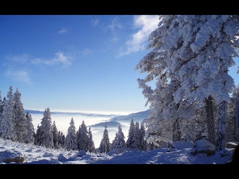 Классный спуск на лыжах в Корее