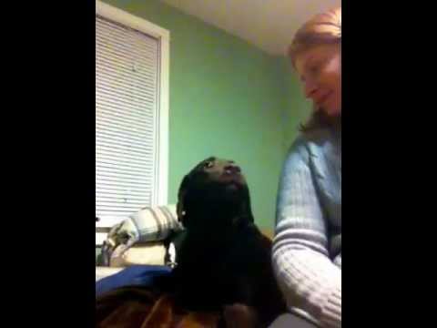 how to practice clarinet quietly