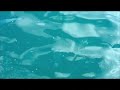 you tube part 1