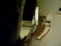 moisture plasterboard