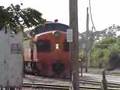 2007 Illinois Railway Musem Railfan Diesel Days #2
