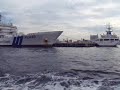 横浜クルージング（シーバス）