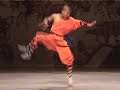 Shaolin Monks