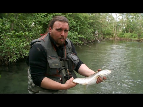 Pesca Hotel Willy Gemona Friuli Venezia Giulia "Go Fisching"