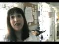 How diet affects your child - http://www.nutritionforlearning.com How diet affects your child - http://www.nutritionforlearning.com