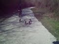 EA scintilladr350sproto, morini, panix e 4 buon i amici.......gnam......buoni.....