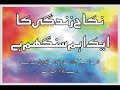 Mufti Muhammad Taqi Usmani - Nikah Zindagi Ka Ek Aham Sangam Hai