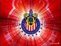 PARA TODOS LOS CUATE DE SP GUILA PARA TODOS LOS CUATE DE SP GUILA
