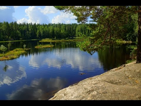 Hiking in Nuuksio National Park #OutdoorsFinland