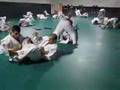 Gracie Insider -... View Video