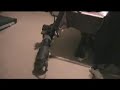 Buster meets Crazy Gator Dachshund