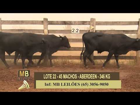 8� LEIL�O PRESENCIAL E VIRTUAL - LUCIANO DUARTE & CONVIDADOS