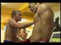 Killer Bee/Purebred Tokyo Gym