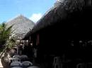 crocobeach 1