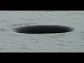 Search Video