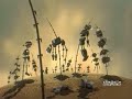 Samurai Jack - Amor Fati Samurai Jack - Amor Fati