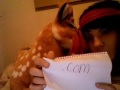 Dear Ashley