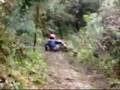 downhill NAS MONTANHAS DO COAS